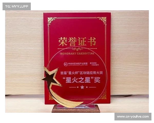 体育公益项目通过区块链记录捐赠，增强公信力